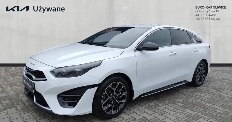 kia pro_cee'd śląskie Kia Pro_cee'd cena 116900 przebieg: 39841, rok produkcji 2023 z Rydzyna